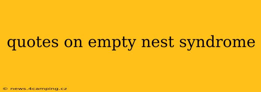 quotes on empty nest syndrome