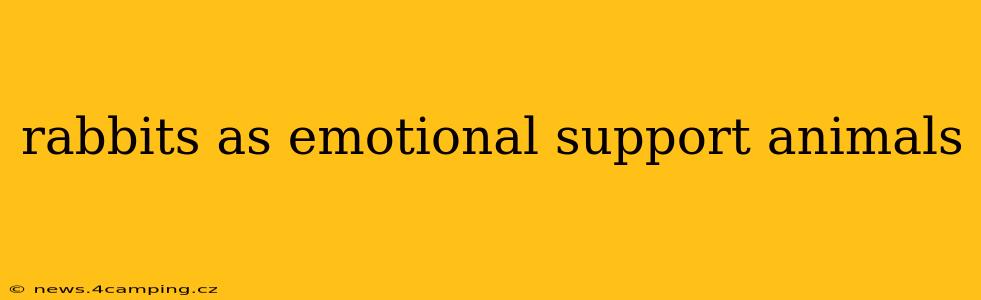 rabbits as emotional support animals