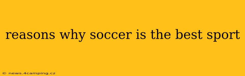 reasons why soccer is the best sport