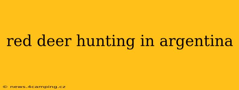 red deer hunting in argentina