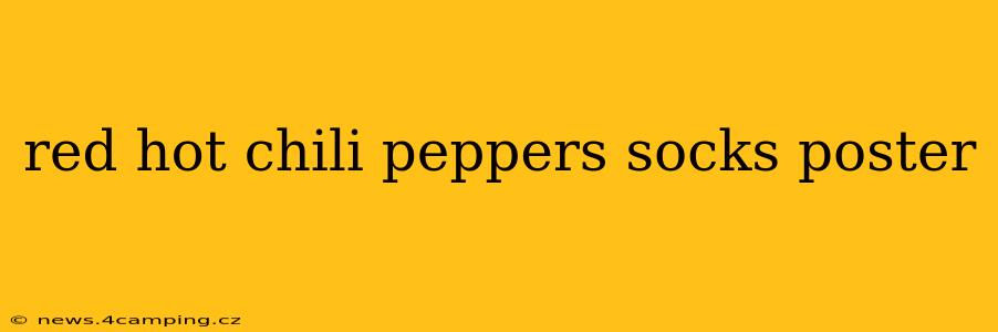 red hot chili peppers socks poster