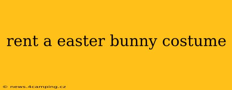 rent a easter bunny costume