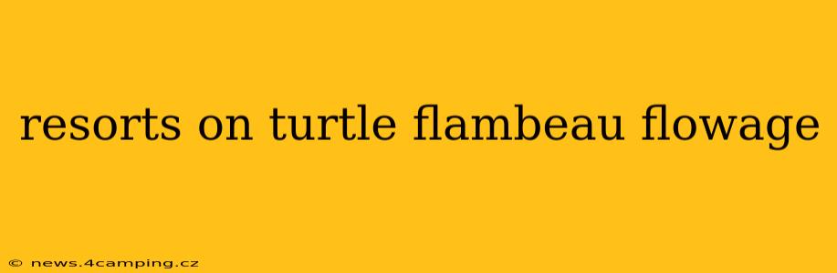 resorts on turtle flambeau flowage