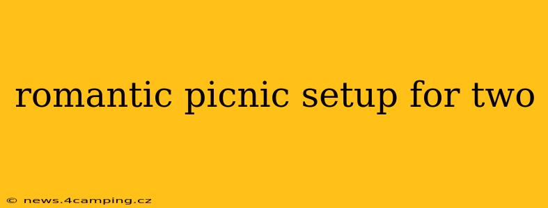 romantic picnic setup for two