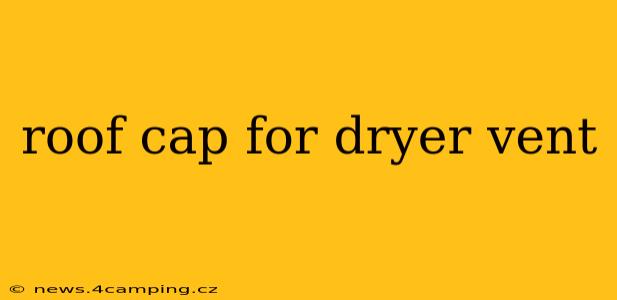 roof cap for dryer vent