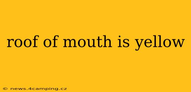 roof of mouth is yellow