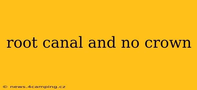 root canal and no crown