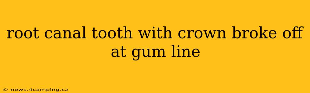 root canal tooth with crown broke off at gum line