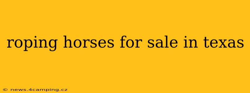 roping horses for sale in texas