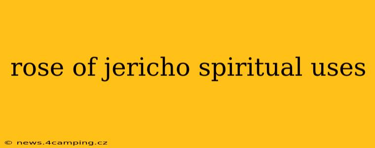 rose of jericho spiritual uses