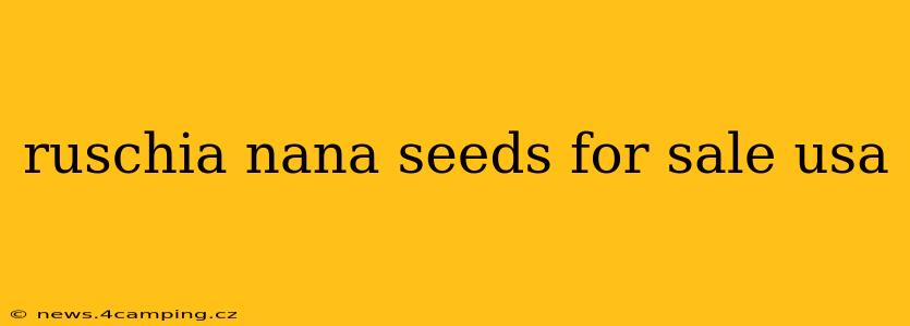 ruschia nana seeds for sale usa