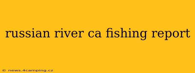 russian river ca fishing report