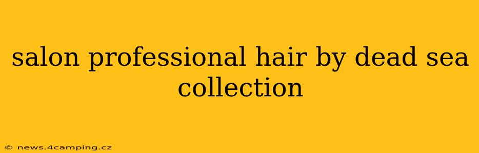 salon professional hair by dead sea collection