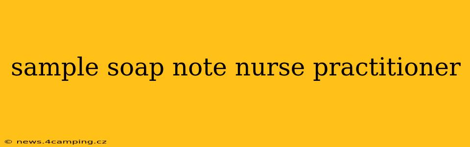 sample soap note nurse practitioner