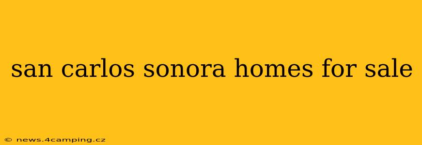 san carlos sonora homes for sale