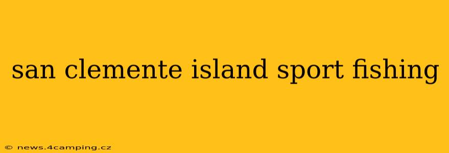 san clemente island sport fishing