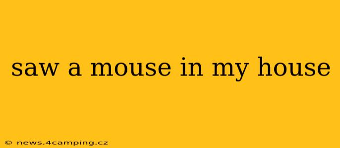 saw a mouse in my house