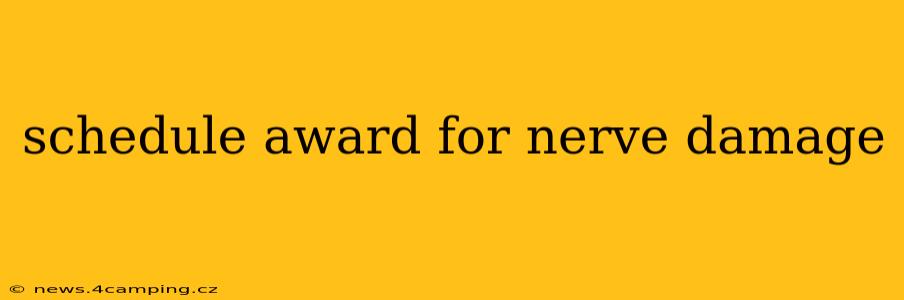 schedule award for nerve damage