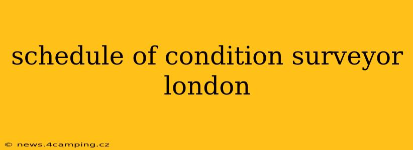 schedule of condition surveyor london