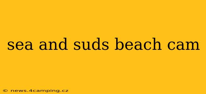 sea and suds beach cam