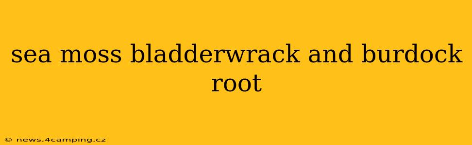 sea moss bladderwrack and burdock root