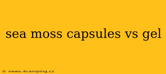 sea moss capsules vs gel