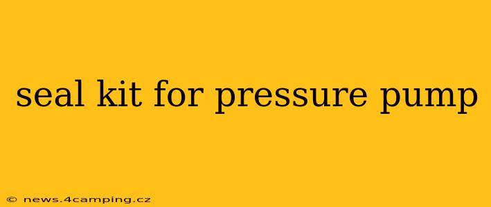 seal kit for pressure pump