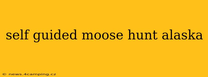 self guided moose hunt alaska
