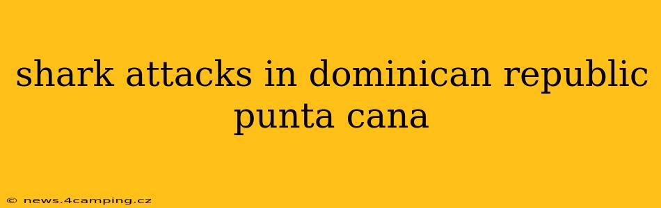 shark attacks in dominican republic punta cana