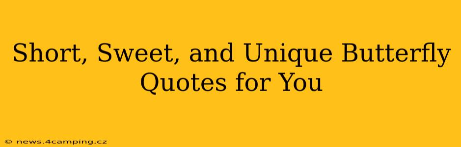 Short, Sweet, and Unique Butterfly Quotes for You