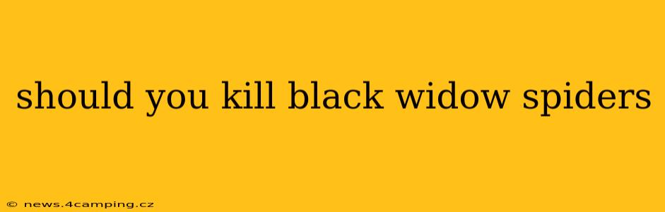 should you kill black widow spiders