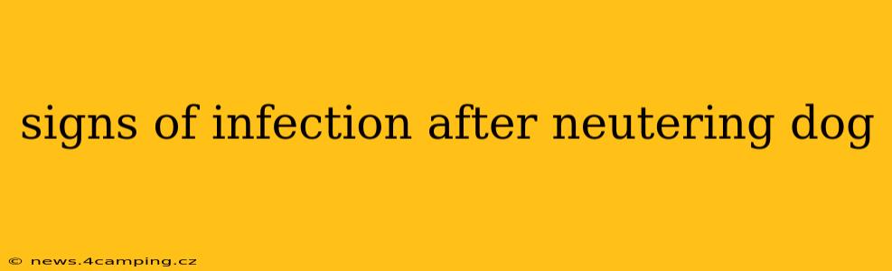 signs of infection after neutering dog