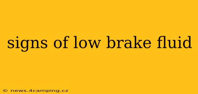 signs of low brake fluid