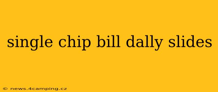single chip bill dally slides