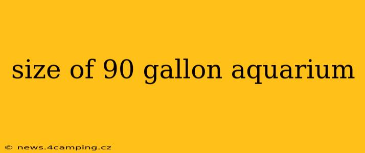 size of 90 gallon aquarium