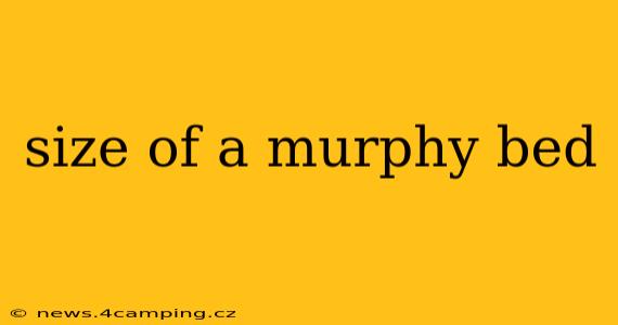 size of a murphy bed