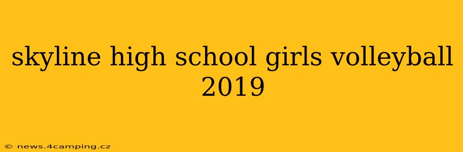 skyline high school girls volleyball 2019