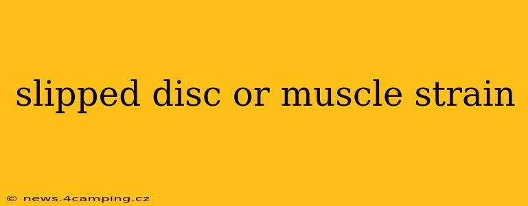slipped disc or muscle strain