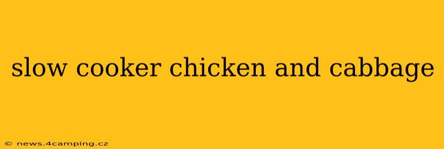 slow cooker chicken and cabbage