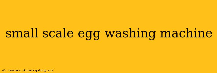 small scale egg washing machine