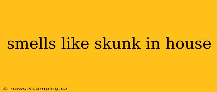 smells like skunk in house