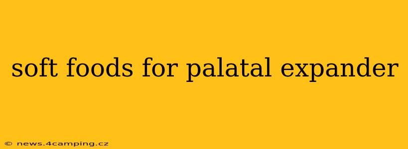 soft foods for palatal expander
