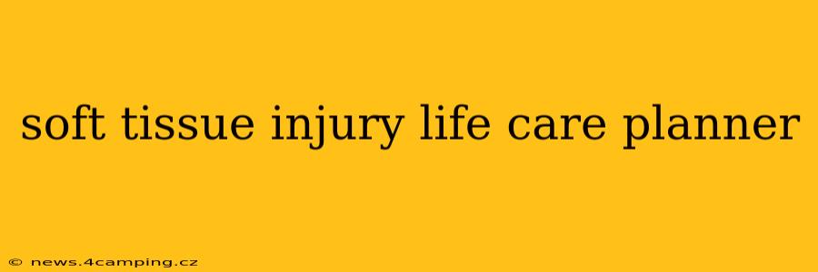 soft tissue injury life care planner