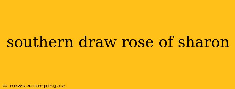 southern draw rose of sharon