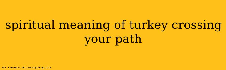 spiritual meaning of turkey crossing your path