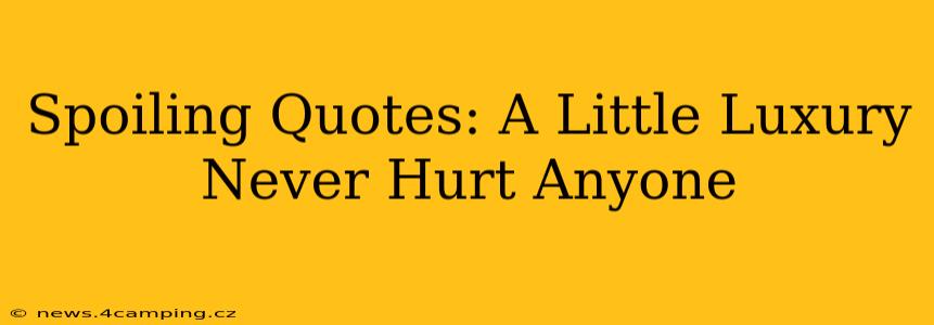 Spoiling Quotes: A Little Luxury Never Hurt Anyone