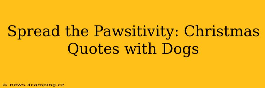 Spread the Pawsitivity: Christmas Quotes with Dogs