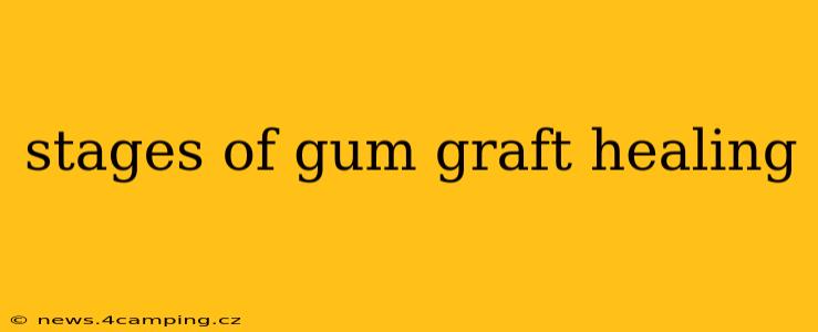 stages of gum graft healing