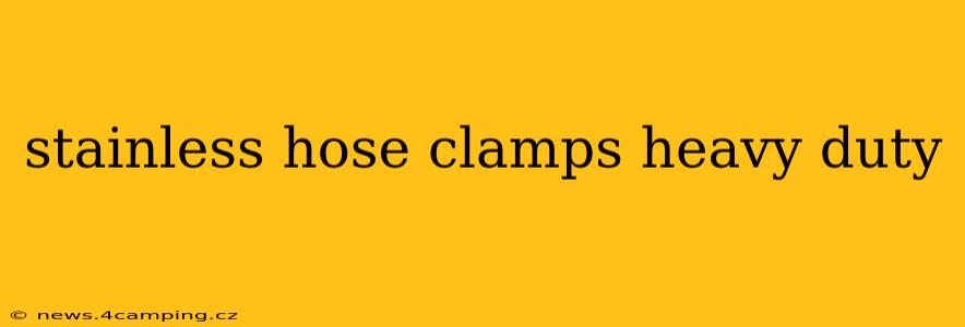 stainless hose clamps heavy duty