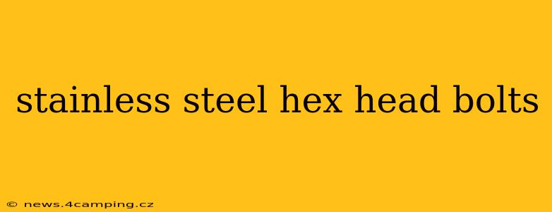 stainless steel hex head bolts